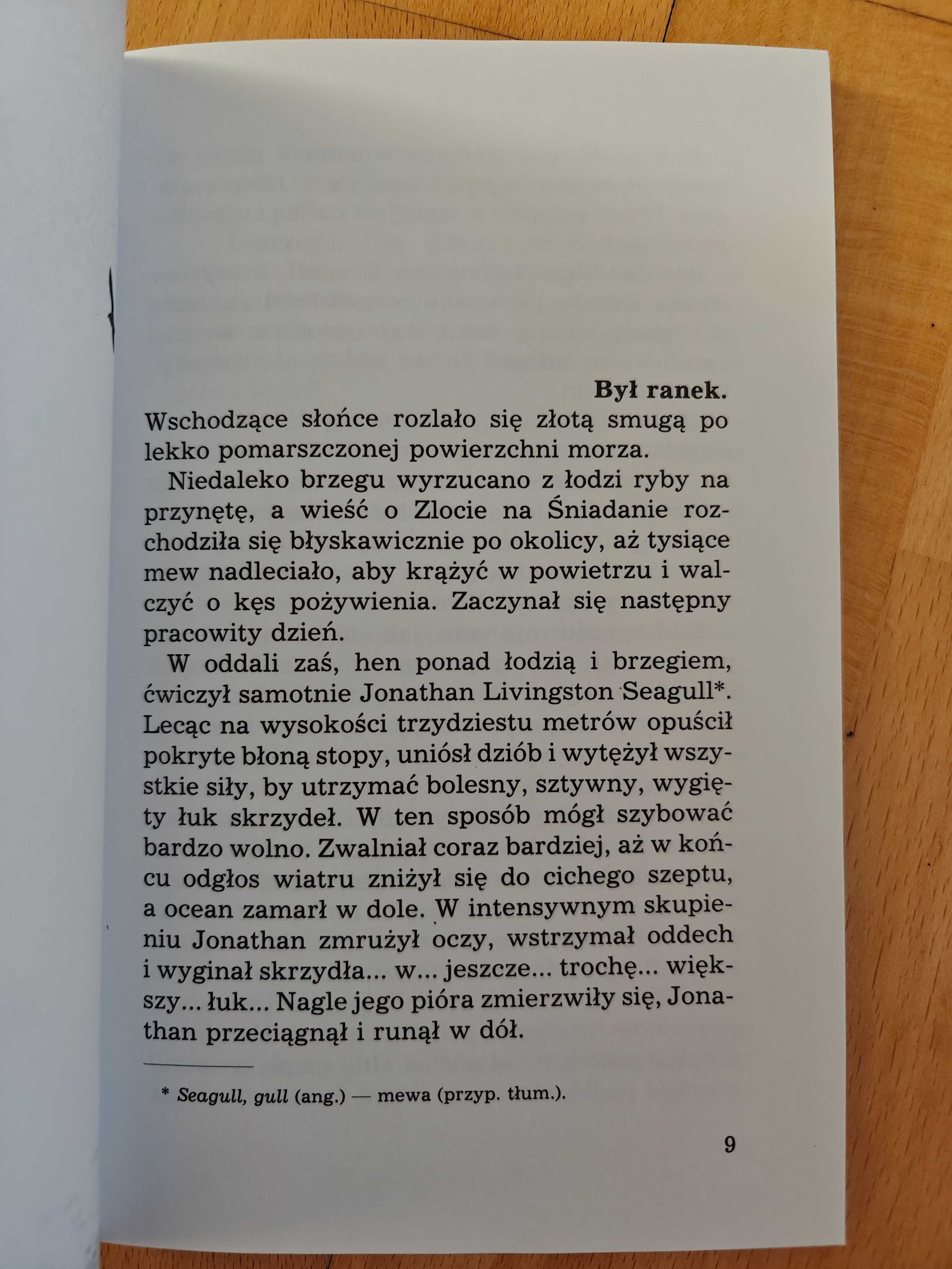 Mewa. Richard Bach