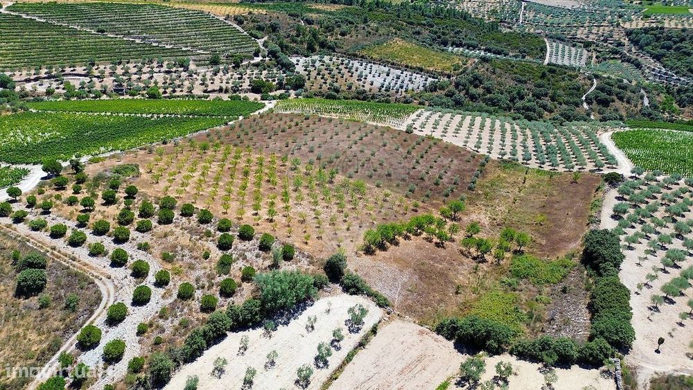 Terreno  para venda