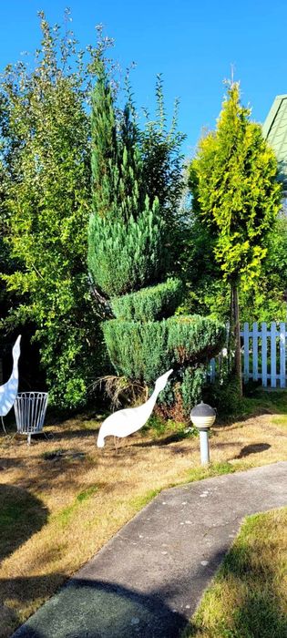 Domek w Międzyzdrojach- idealny dla rodziny z dziećmi