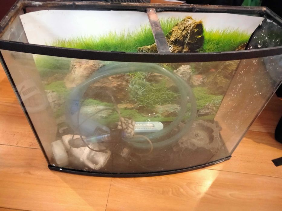 Aquário visipor 60lt