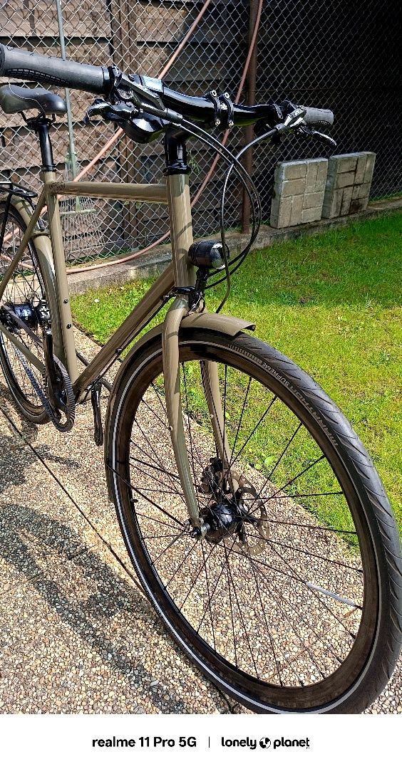Rower Veloheld 11 biegów w piaście Alfine