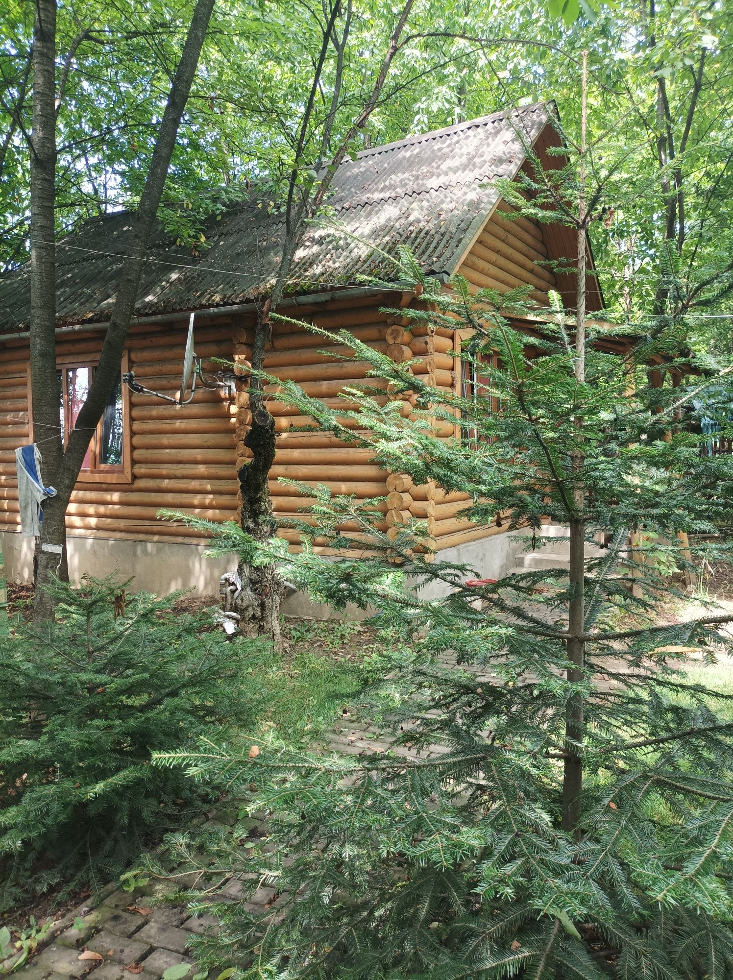 Здається будинок-сруб в затишному місці.