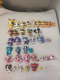 Littlest pet shop