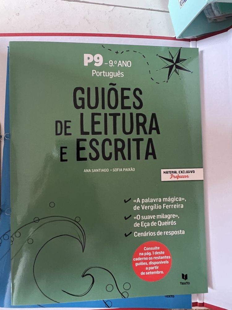 Dossiê do professor P9 - português