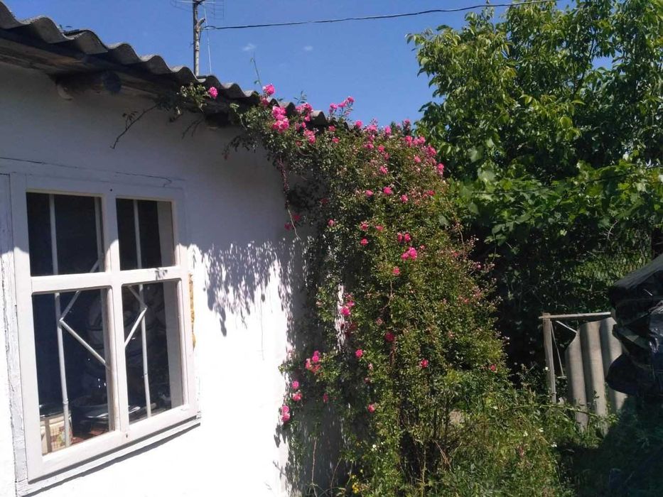 Я Продам дачу, Кам’яна Гора, масив Борковський