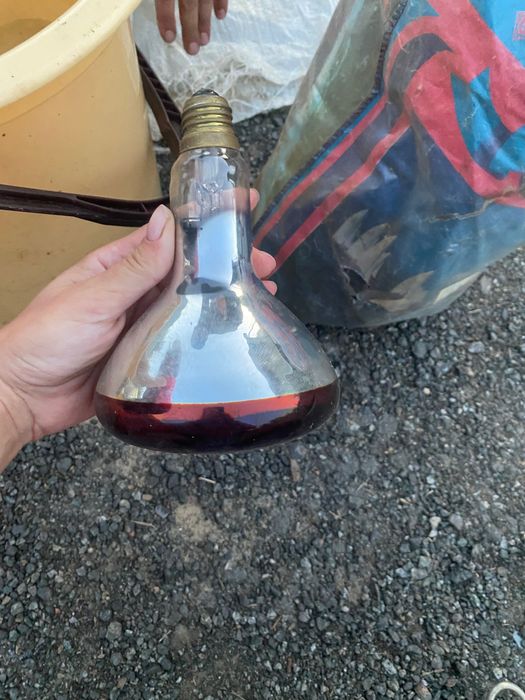 Лампа інфрачервона інфракрасная