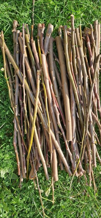 Świeże gałązki jabłoni z ekologicznej uprawy - paczka 2,5kg
Idealne d