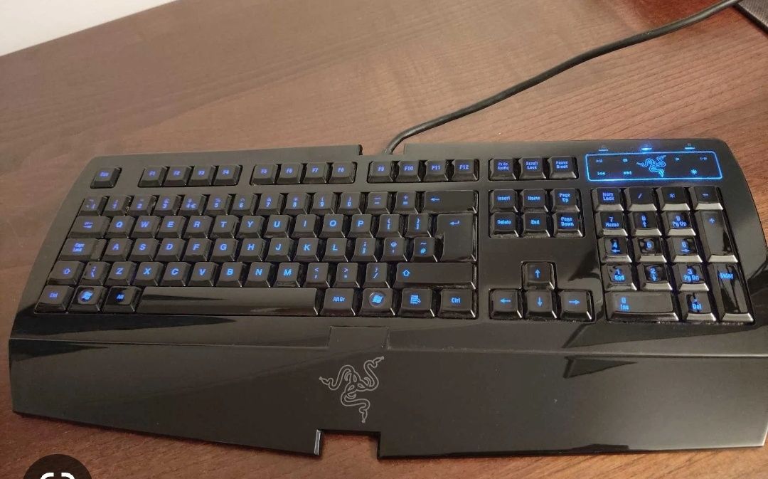 Teclado gamer Razer Lycosa