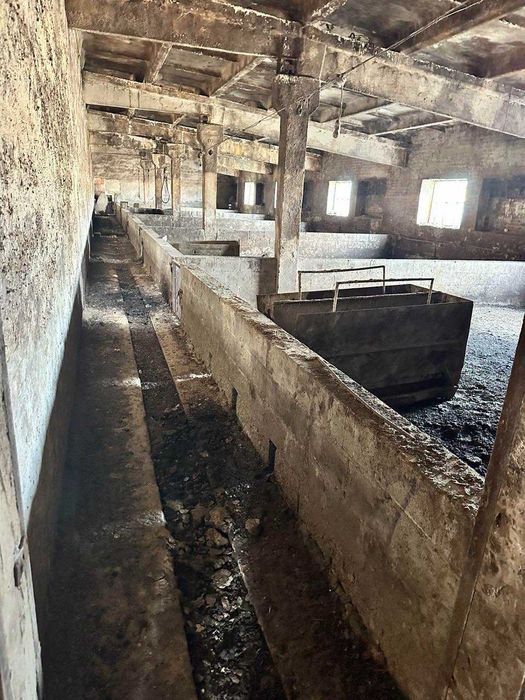 ОРЕНДА, ПРОДАЖ свиноферми