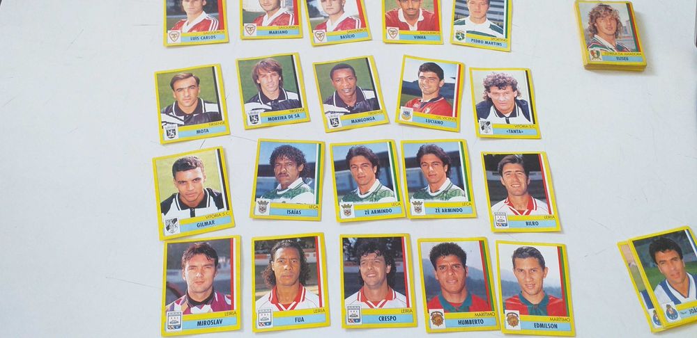 Panini 95/96                        .