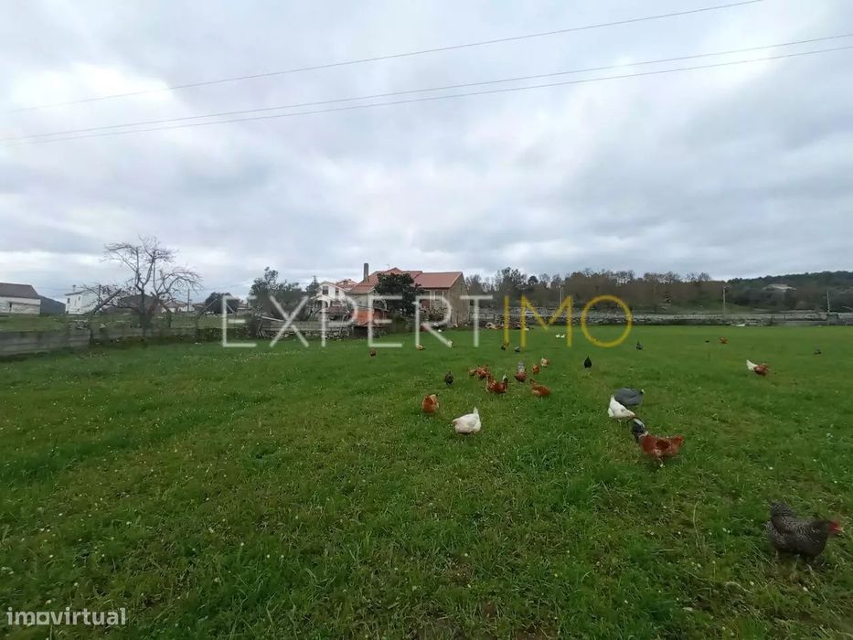 Quintinha para investimento na serra, casa de alvenaria em pedra...