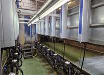 Hala udojowa 2x8 DeLaval / Alfa Laval, MP400 X MM25