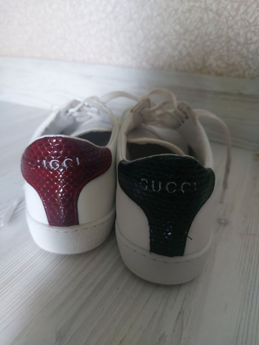 Кеди кожаные Gucci.Жіночі кросівки шкіряні gucci з вишитим принтом. 39