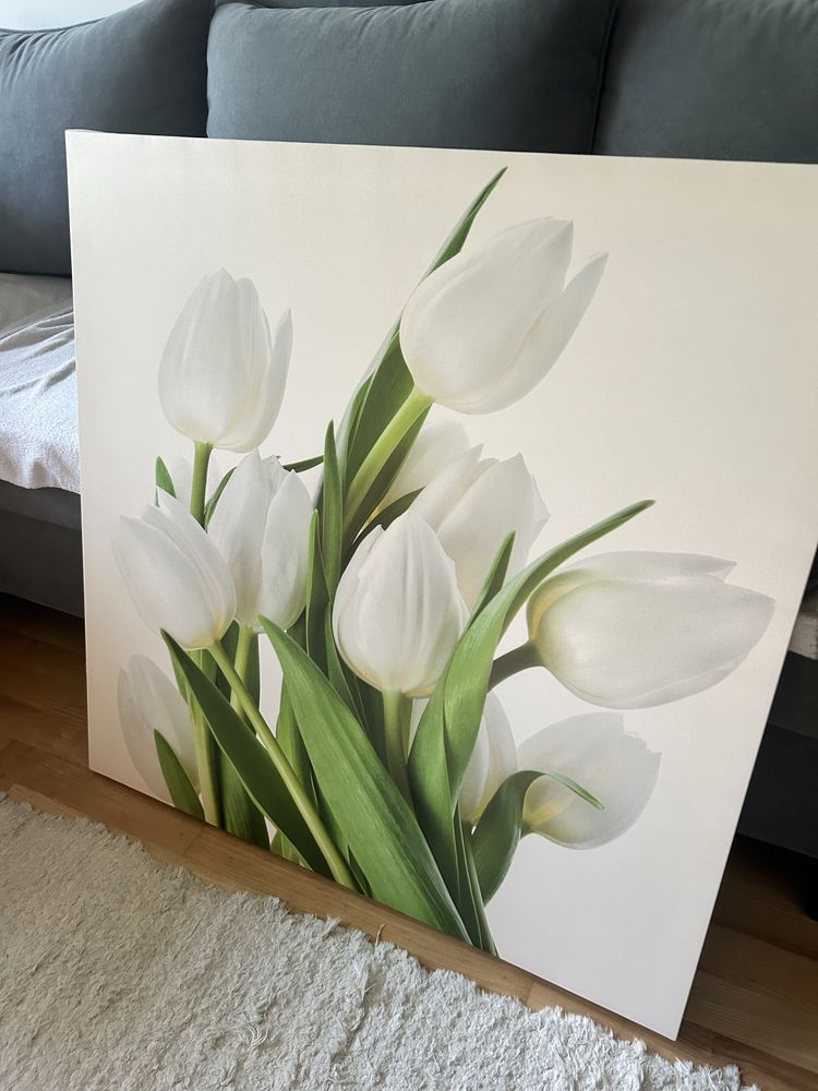 Obraz tulipany 80x80