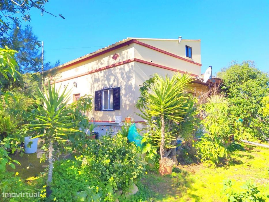 Moradia T3 C/ 813M2 Terreno