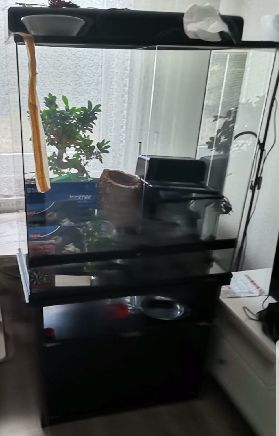 Terrarium Exo Terra  z szafka