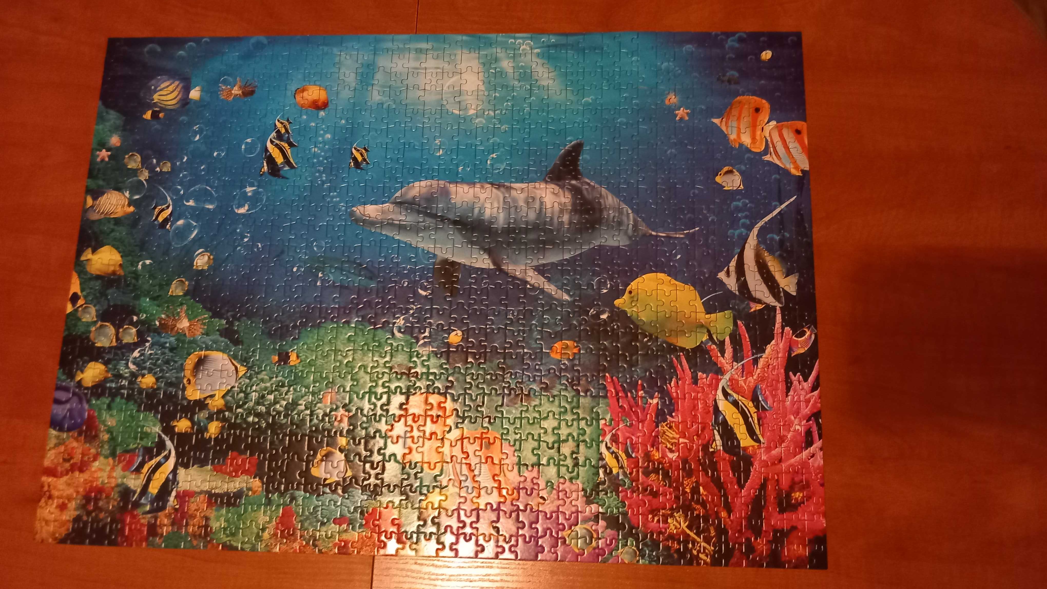 Puzzle 1000 Ocean rybki