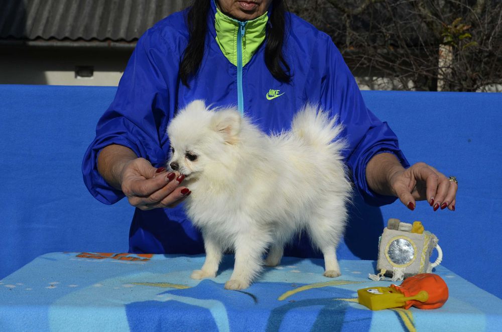 Маленька красуня!