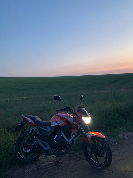 Геон пантера N200