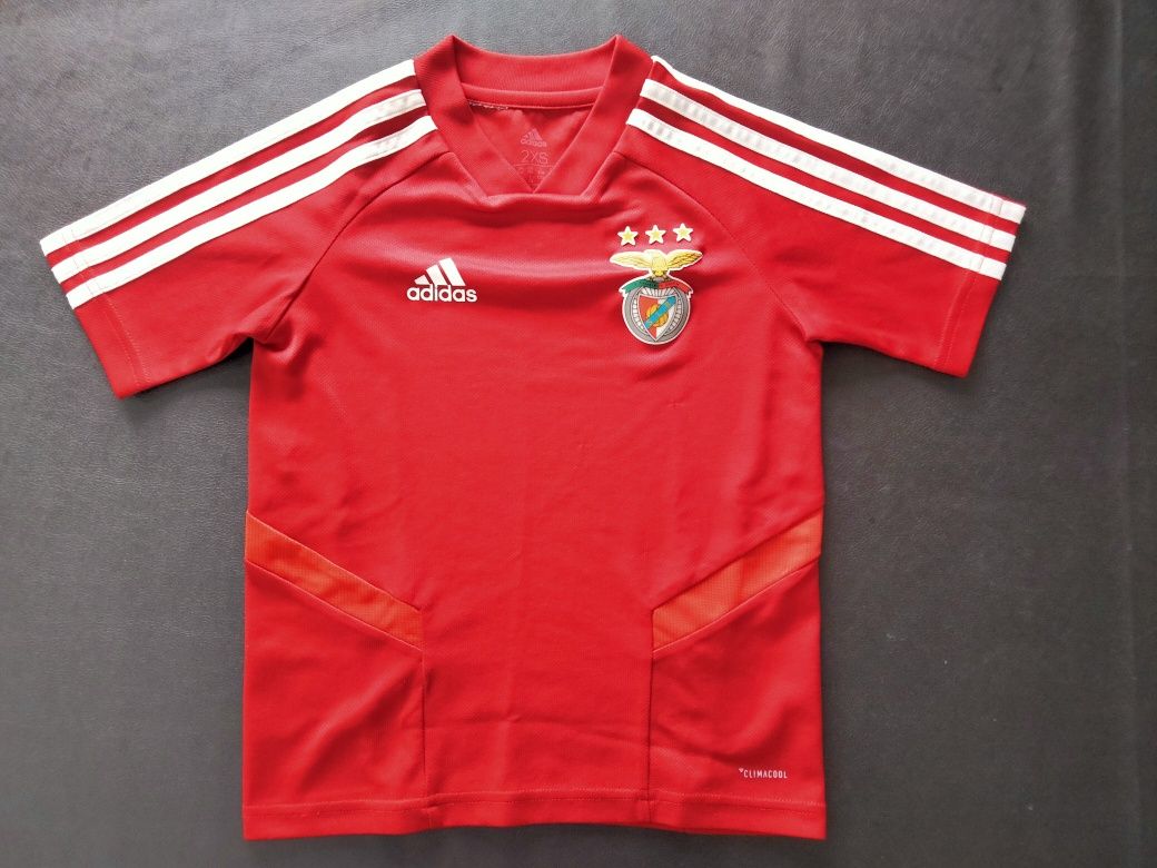 Camisola Benfica criança 5/6 anos