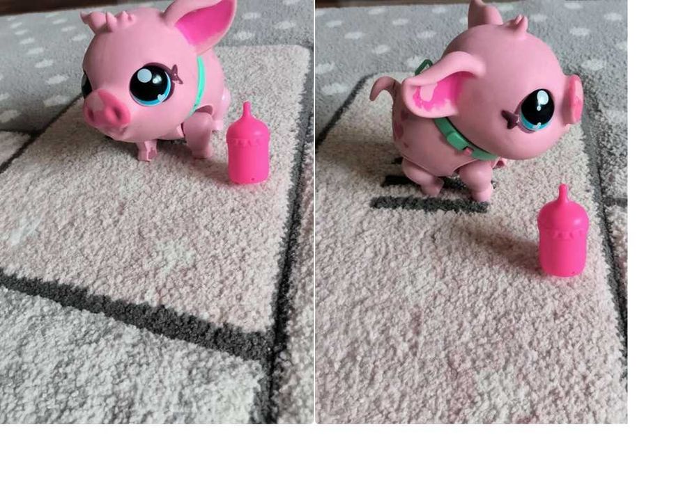 Little live pets, świnka