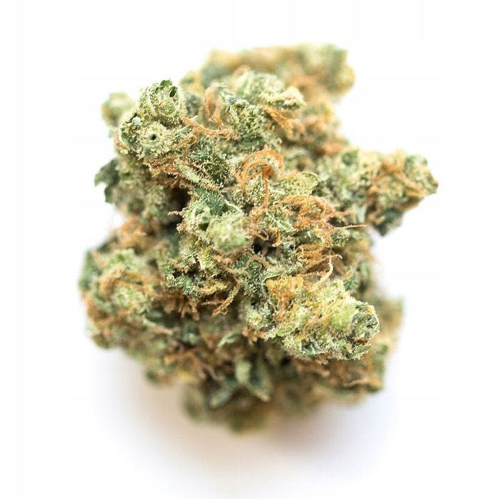 20G Susz konopny CBD Pineapple Haze 0,20% HURT Producent