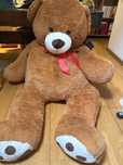 Peluche Urso Gigante