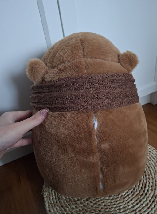 Pluszowa kapibara z kocem