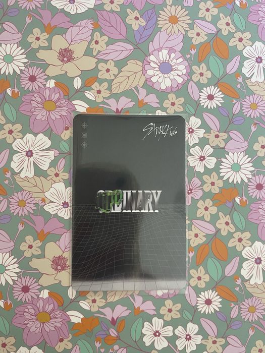 Photocard do felix do straykids