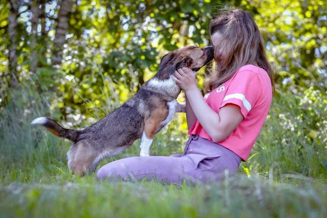 Młodziutka Sunieczka,  Bunia pilnie szuka domu.