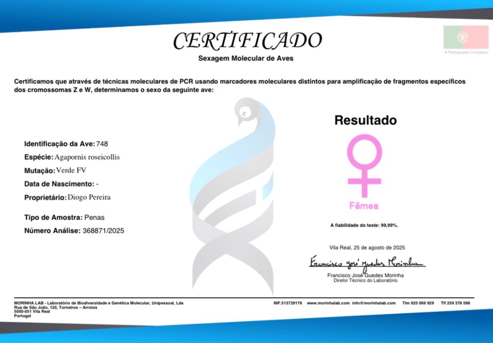 Fêmea Longfeather - 2025 com sexagem