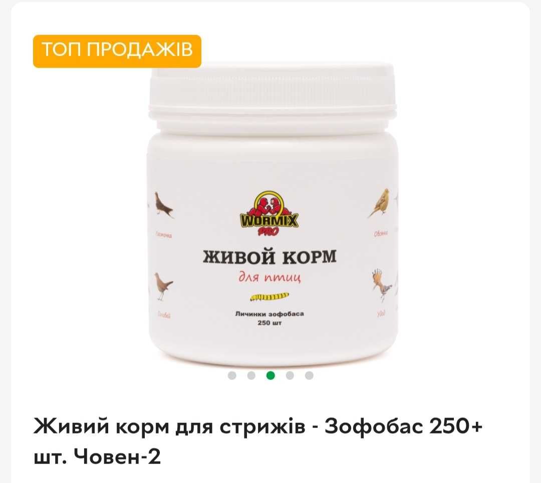 Живий корм для птахів та ящірок - личинки зофобасу (зоофобуса)