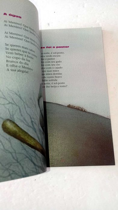 As fadas Verdes - Porto editora