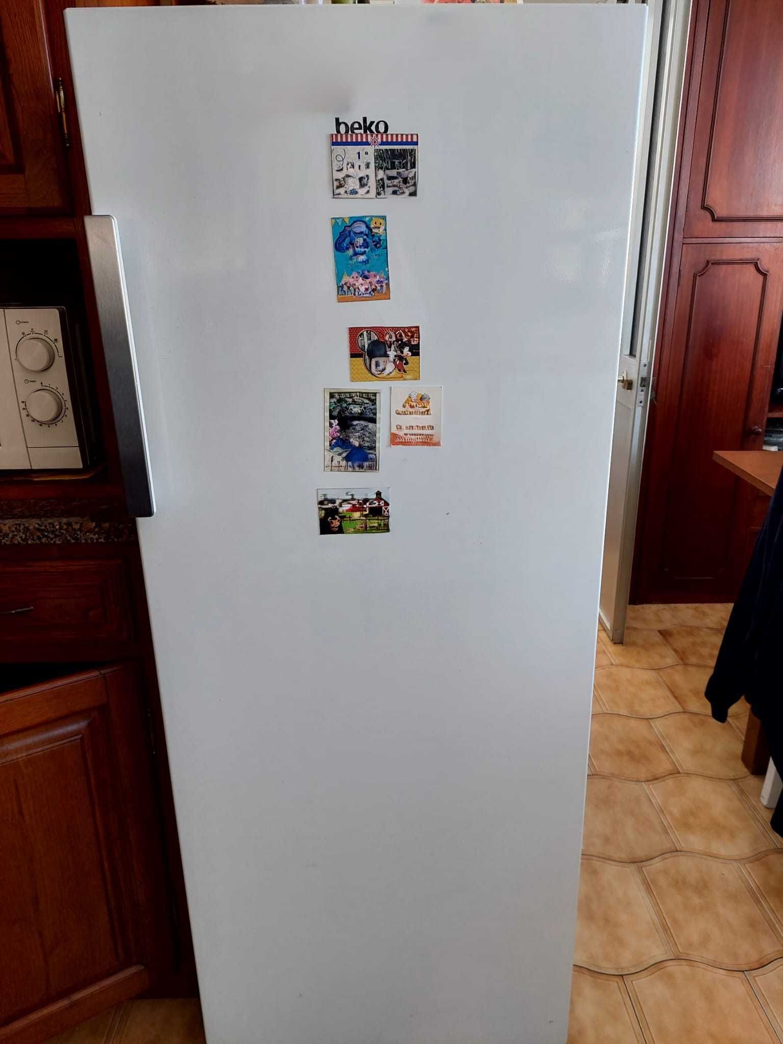 Arca congeladora vertical Beko 250 litros