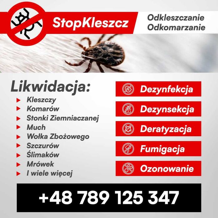 Odstąpię firmę DDD