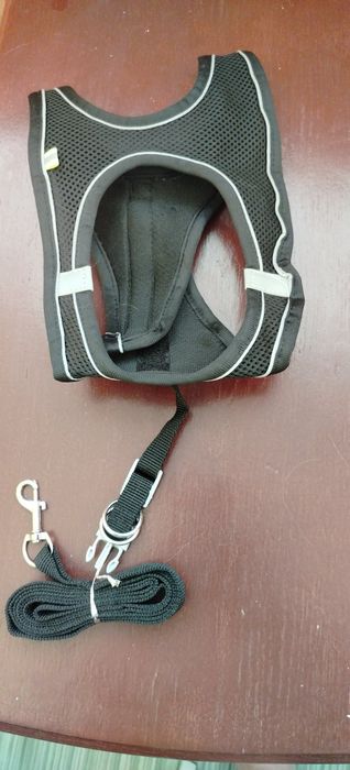 Шлейка ошейник и поводок для собаки