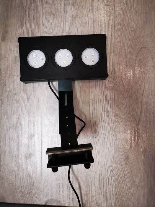 Lampa Spectra 30w do akwarium morskiego
