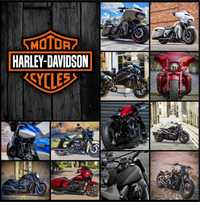 Harley-Davidson розборка/двигун
