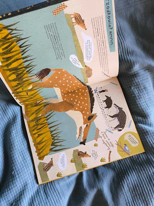 Dzika książka o dzikach i o ich kuzynach, NK, 6+