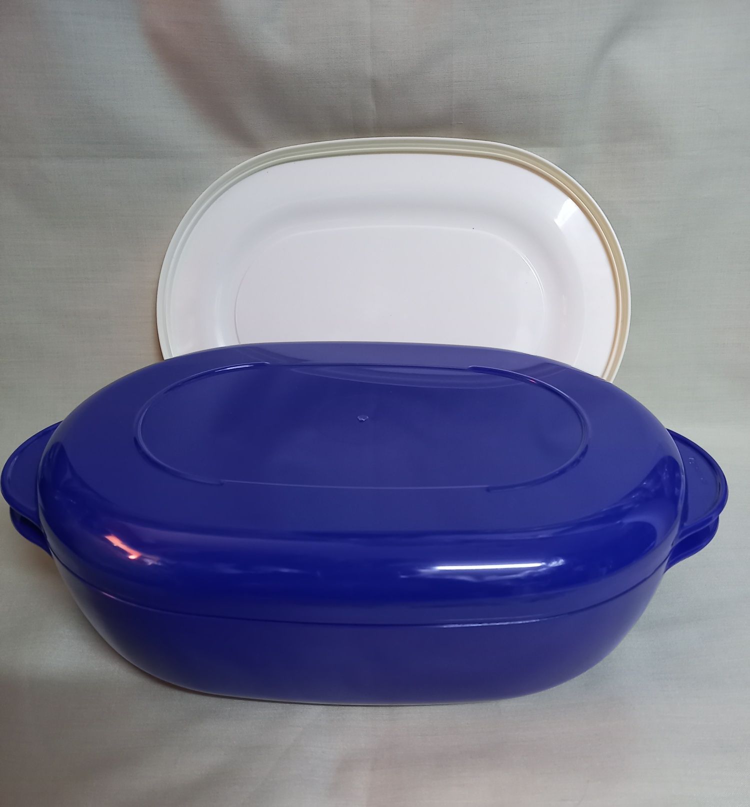 Microplus Tupperware