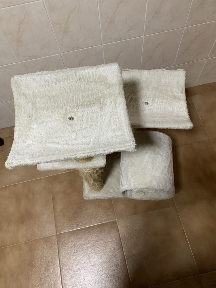 Arranhador gatos