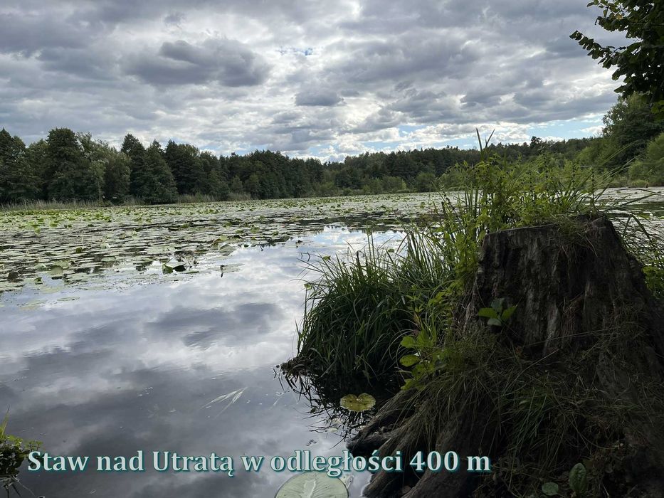 Krakowiany, gmina Nadarzyn - do sprzedania 11,65 ha gruntu.