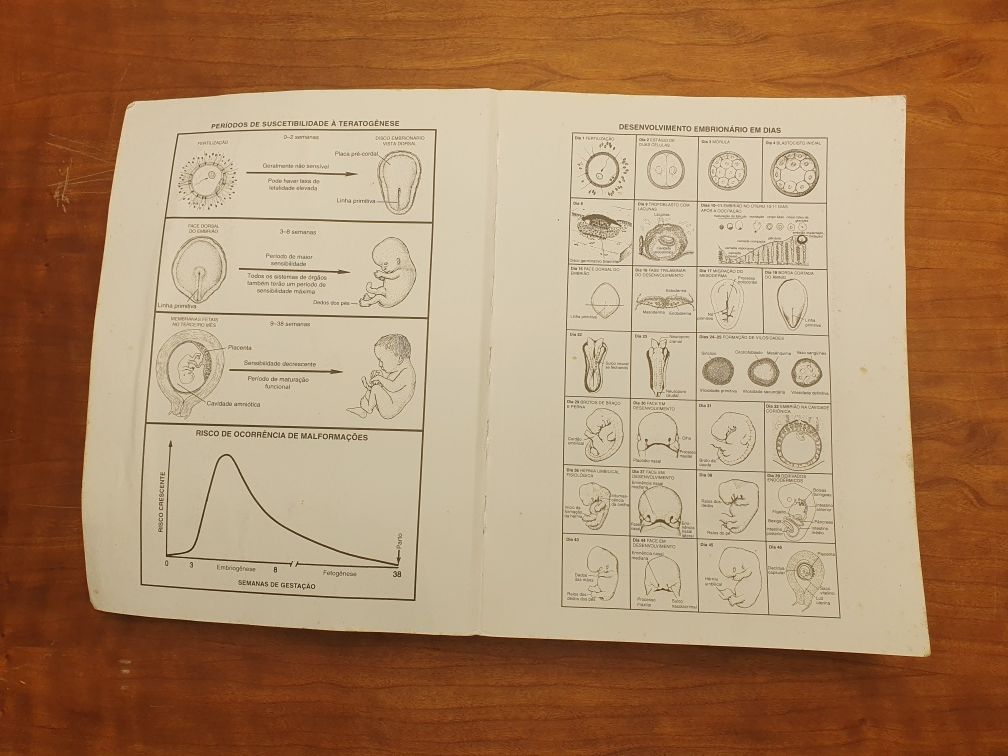 Langman Embriologia Medica