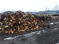 Продам дрова різних порід від 600 гр за метер