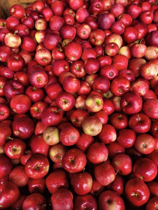 Jabłka deserowe i przemysłowe