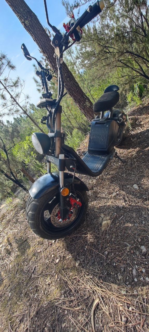 Moto eléctrico Citycoco Tecuon 3000w motor 60v 20a