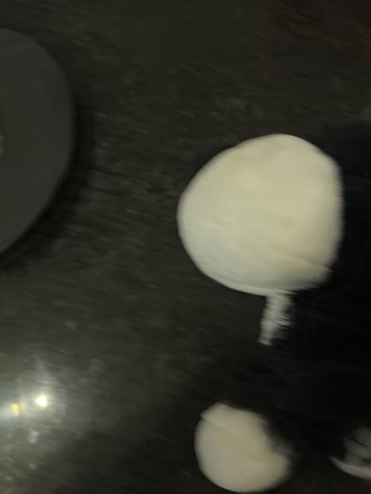 Cao de pelúche de cor branco e preto