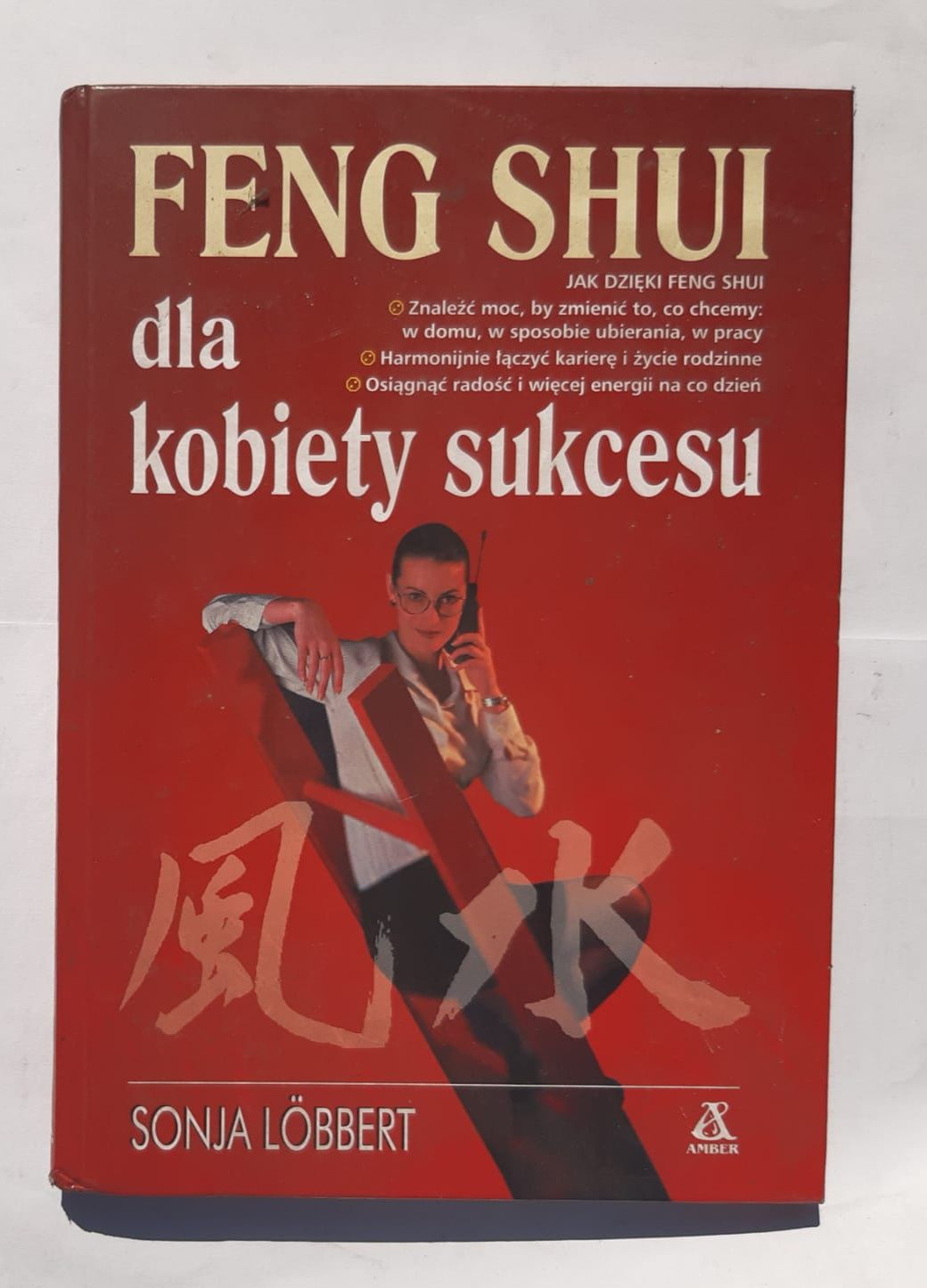 Feng shui dla kobiety sukcesu lobbert Y175