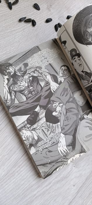 Шлях домогосподаря. Том 1