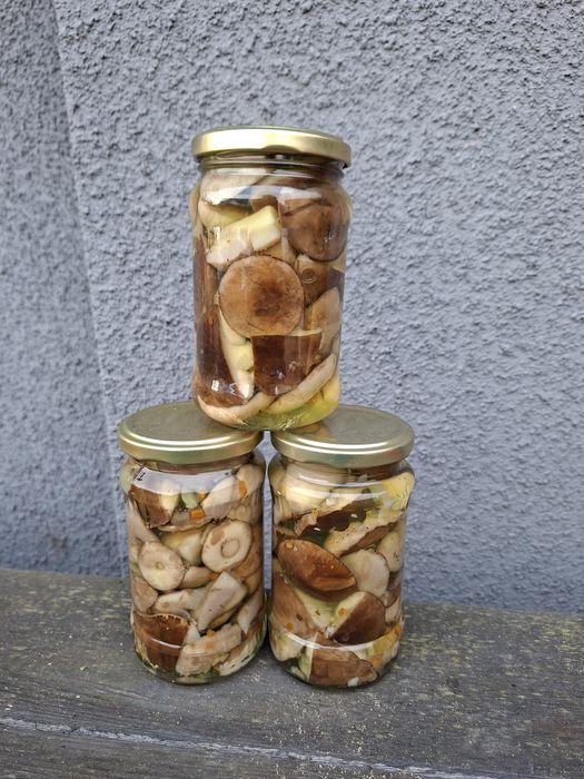 Grzyby marynowane